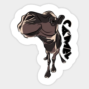 Smiling Camel Sticker